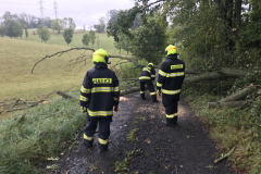 13.09.2024 – Zásah č. 8; Spadlý strom