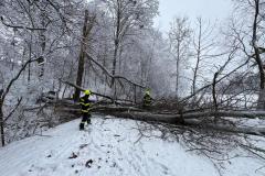 15.02.2026 – Zásah č. 1; Odstranění spadlého stromu