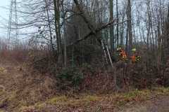 23.12.2025 – Zásah č. 8; Odstranění stromu v kopci Kamenném