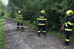 27.08.2023 – ZOČ; Spadlý strom u vysílače