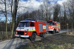 Spadlý strom, Kateřinice - 17.2.2022