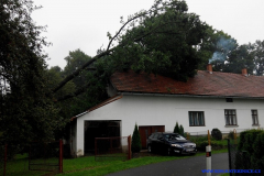 Výjezd jednotky - spadlý strom